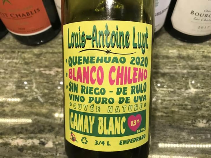 Gamay Blanc - Agricola Luyt - Louis-Antoine Luyt -2020