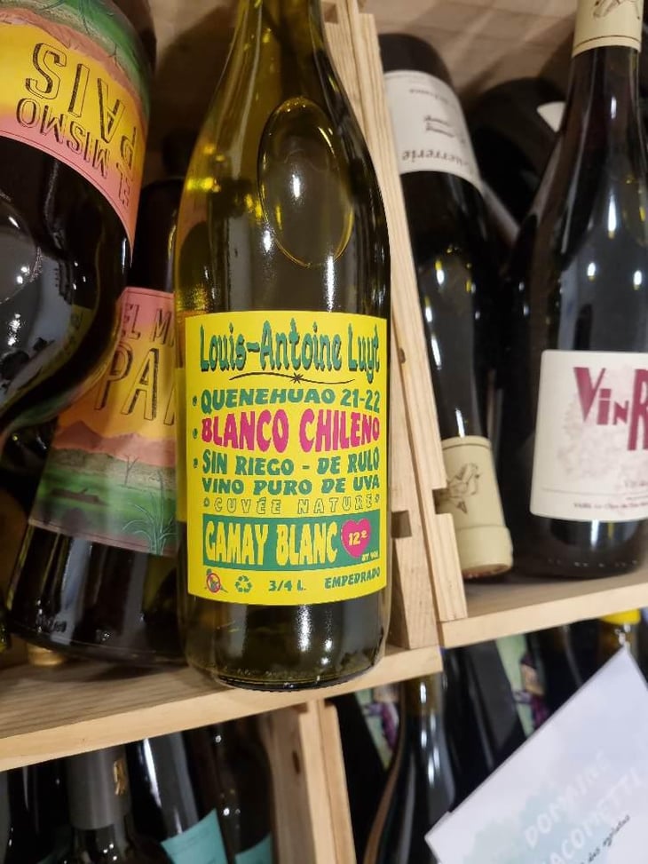 Gamay Blanc - Agricola Luyt - Louis-Antoine Luyt -2020
