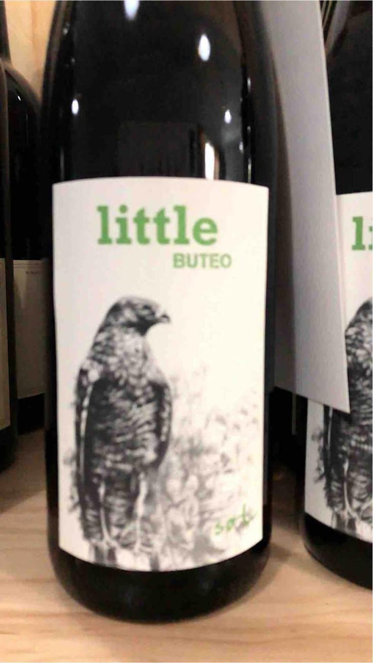 Little Buteo - Sol - Michael Gindl 