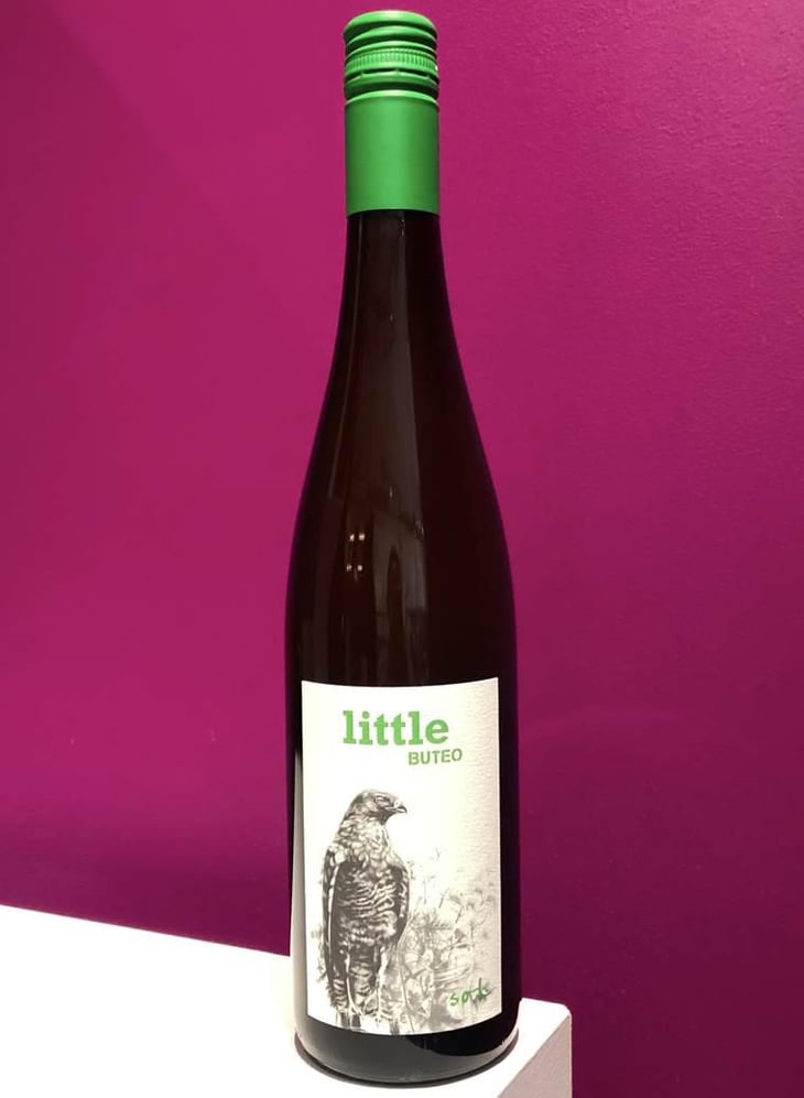 Little Buteo - Sol - Michael Gindl 