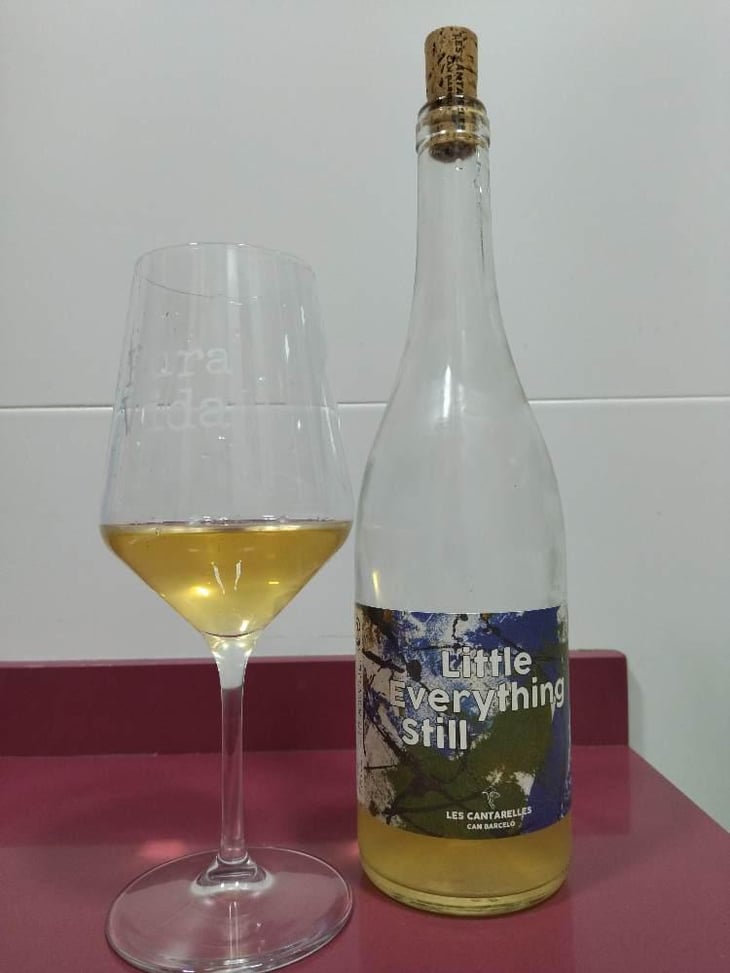 Little Everything Still - Les Cantarelles - Nuria Renom Suárez -2021