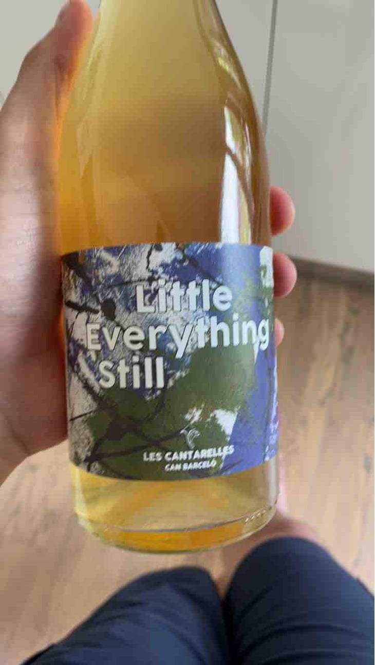 Little Everything Still - Les Cantarelles - Nuria Renom Suárez -2021
