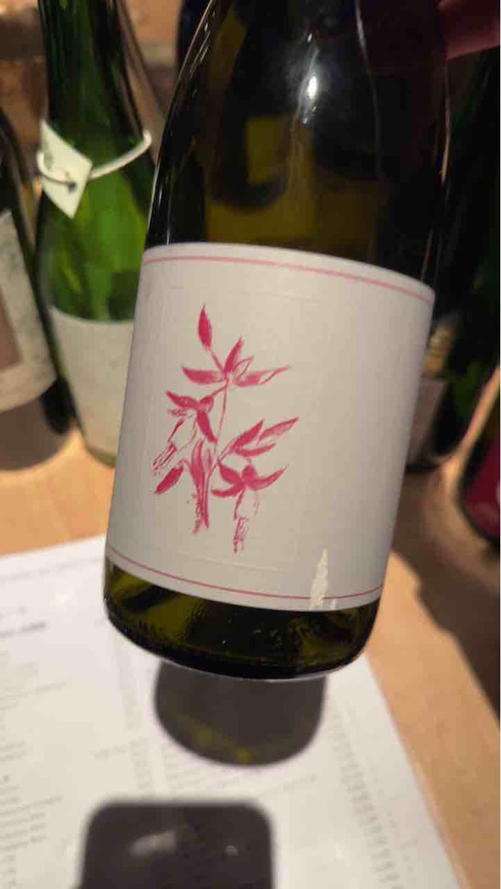 Gamay Noir - Arnot-Roberts - Duncan Arnot Meyers, Nathan Lee Roberts & Caitlin Quinn 
