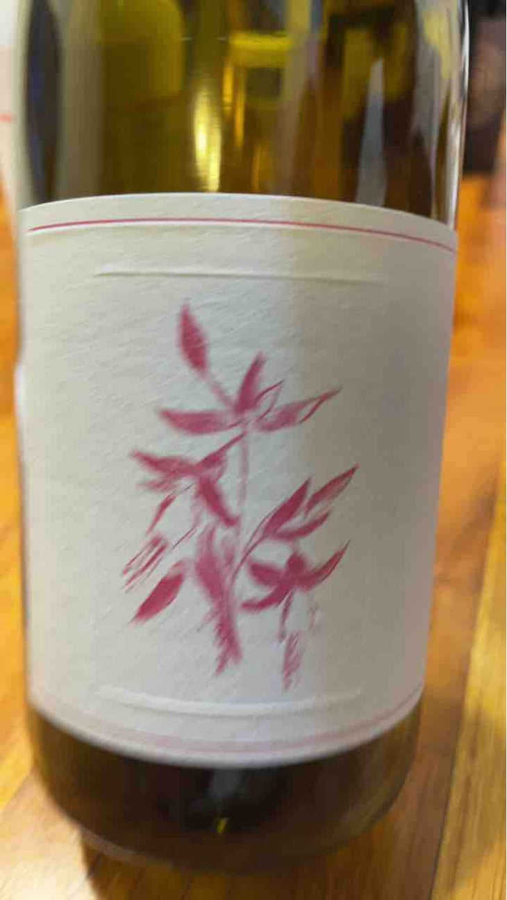Gamay Noir - Arnot-Roberts - Duncan Arnot Meyers, Nathan Lee Roberts & Caitlin Quinn 