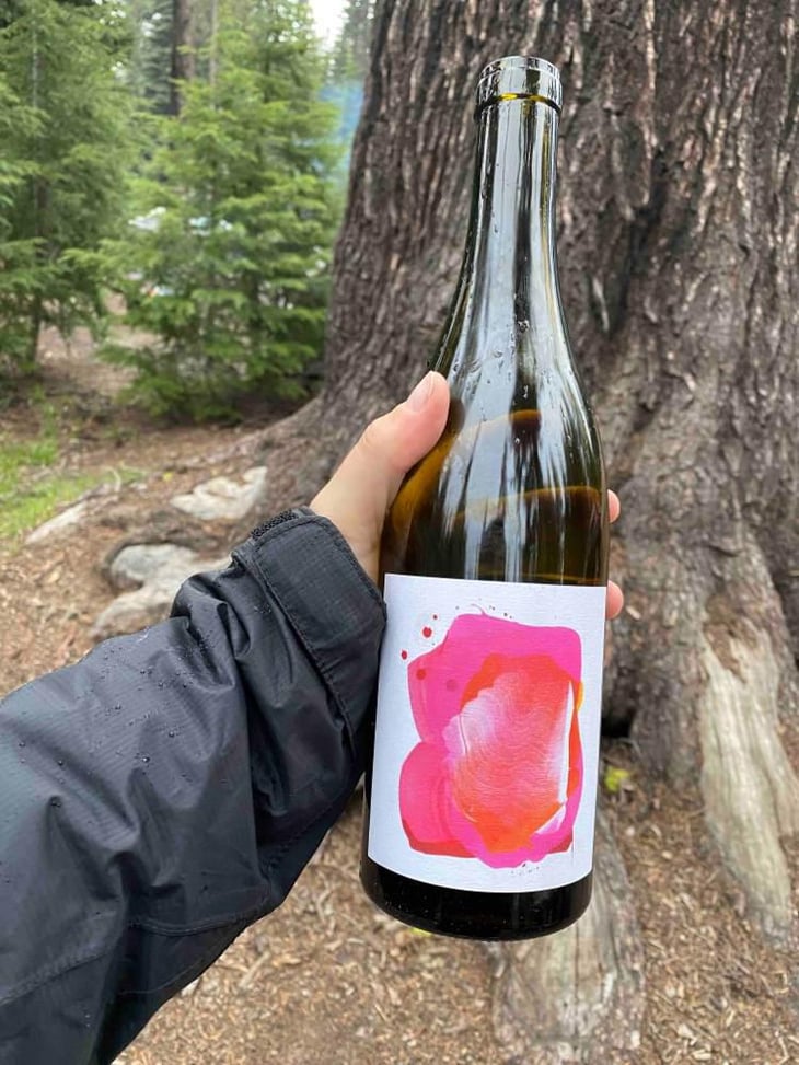Gamay noir - Sebastopol - Jolie Ladie 