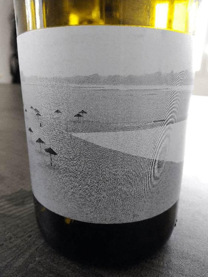 Rouge Gamay - Les Chants Jumeaux - Matthieu l'Hotelier 