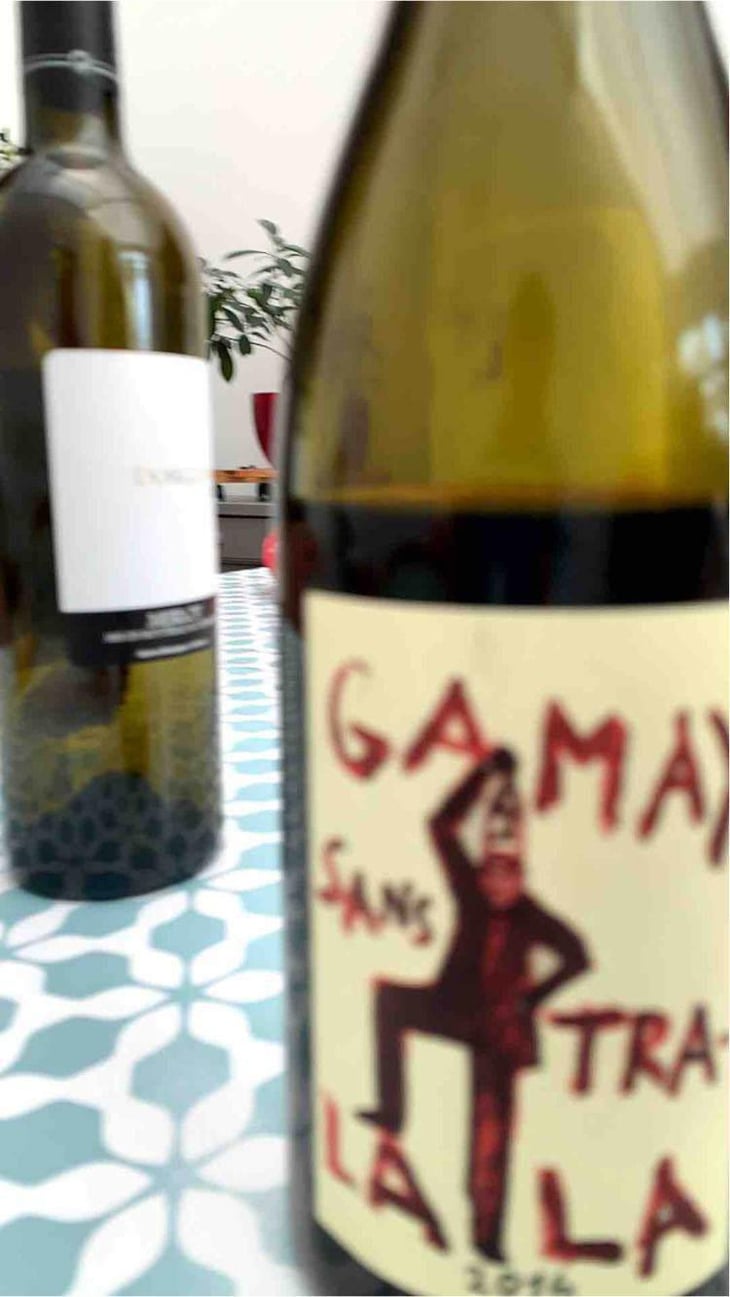 Gamay Sans Tra-La La - Domaine de la Garreliére - Pascale & François Plouzeau 