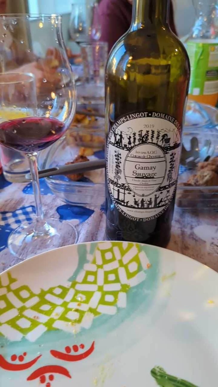 Gamay Sauvage - Domaine des Champs-Lingots - Claude-Alain Chollet 