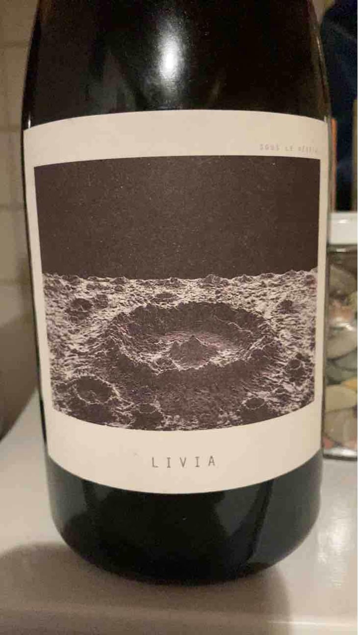 Livia - Sous Le Vegetal - Patrick Bouju & Jason Ligas 
