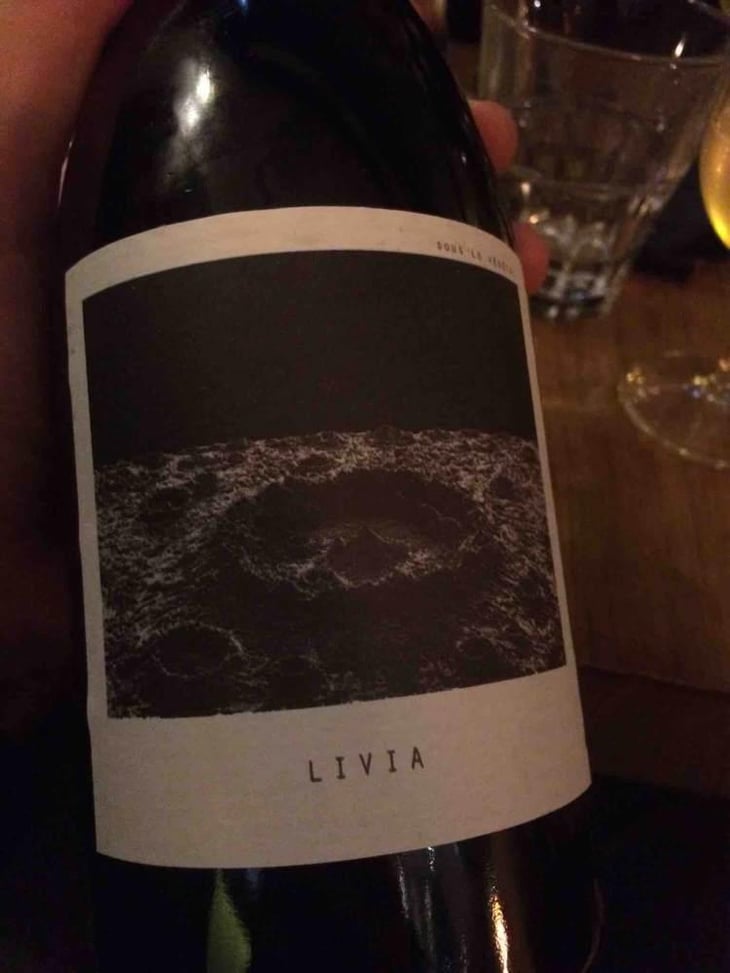 Livia - Sous Le Vegetal - Patrick Bouju & Jason Ligas 