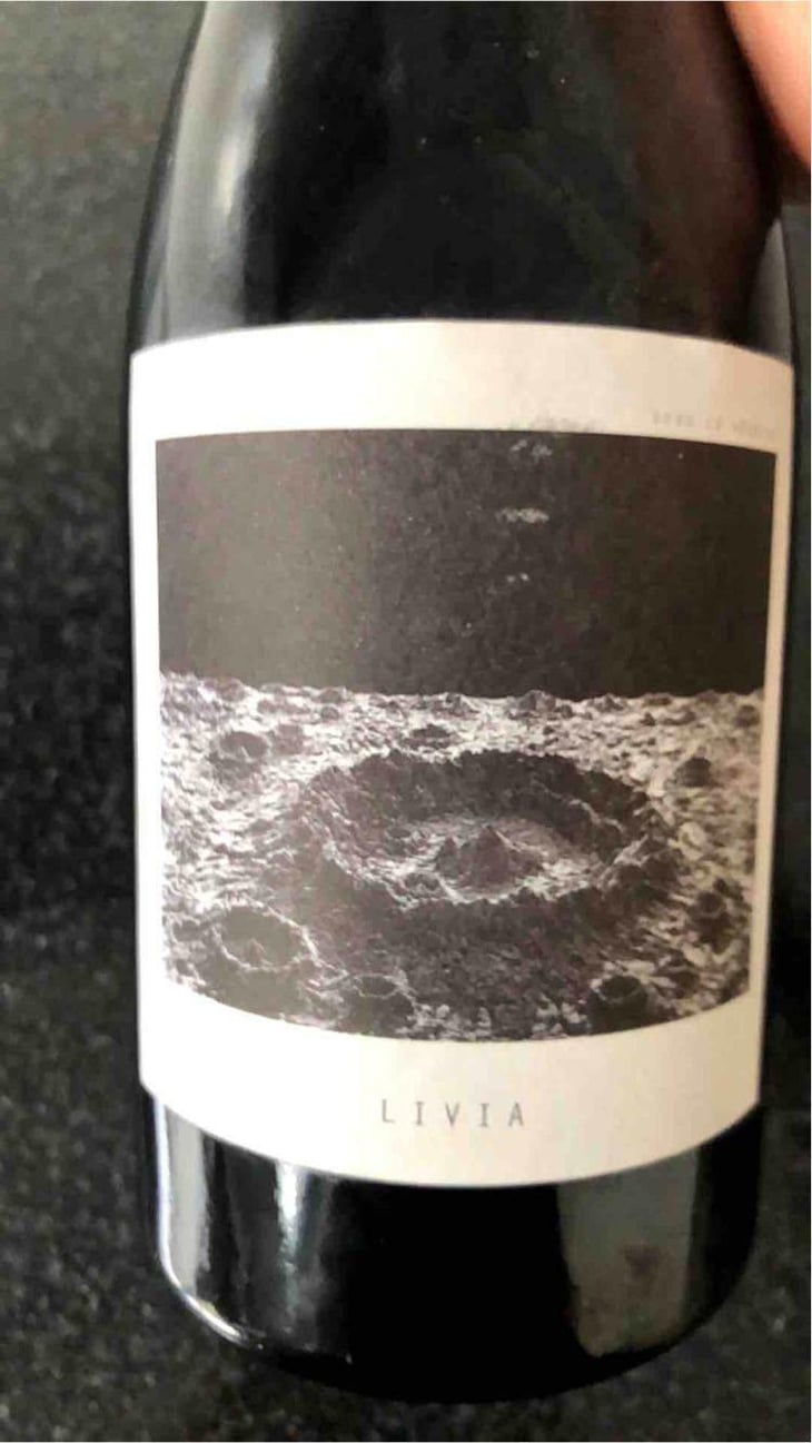 Livia - Sous Le Vegetal - Patrick Bouju & Jason Ligas 