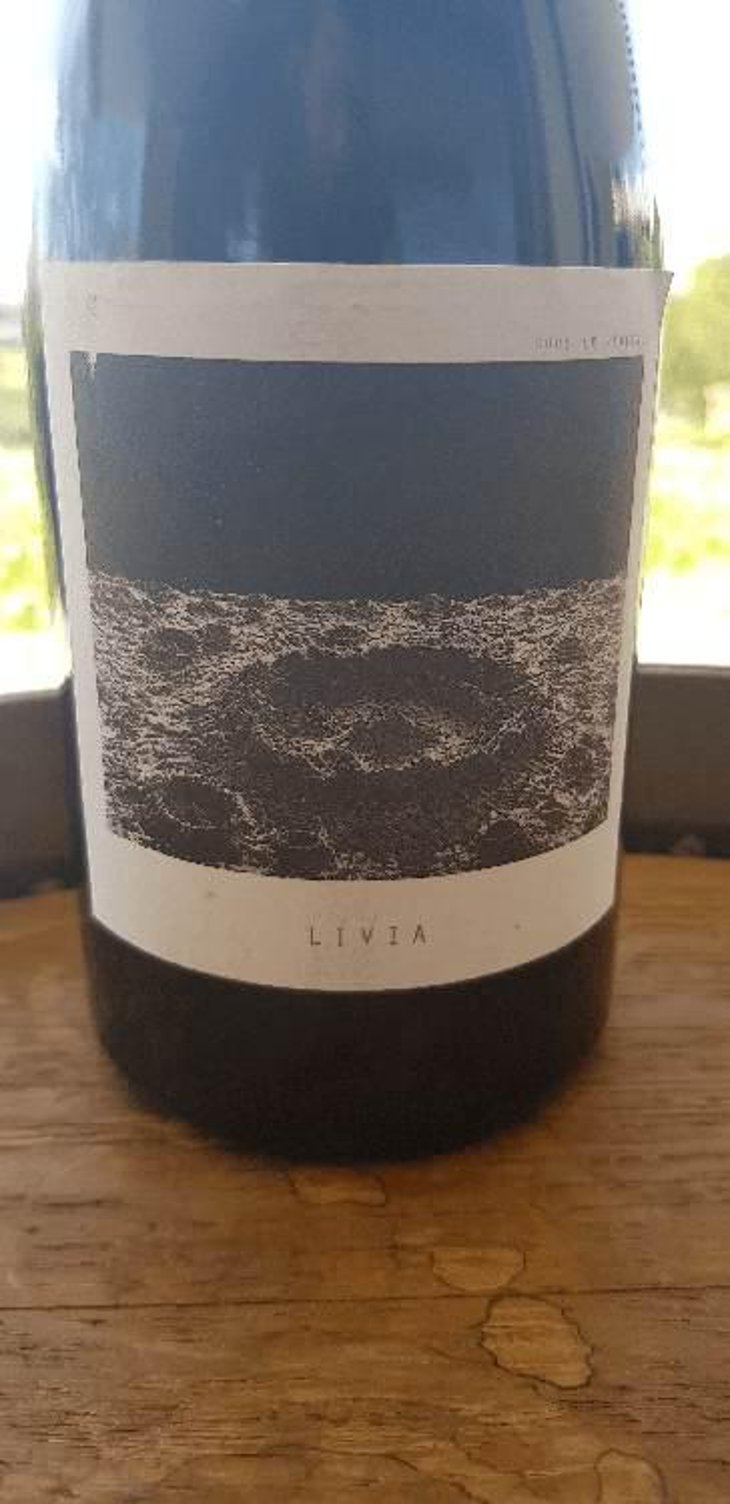 Livia - Sous Le Vegetal - Patrick Bouju & Jason Ligas 