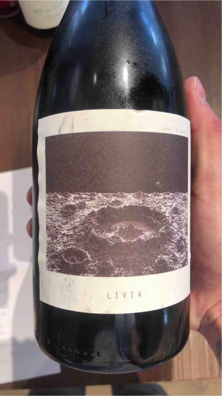 Livia - Sous Le Vegetal - Patrick Bouju & Jason Ligas 