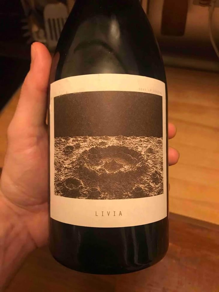 Livia - Sous Le Vegetal - Patrick Bouju & Jason Ligas 
