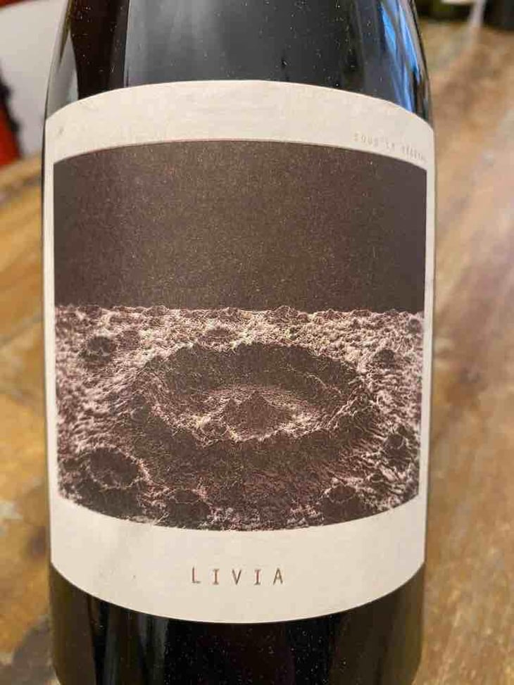 Livia - Sous Le Vegetal - Patrick Bouju & Jason Ligas 