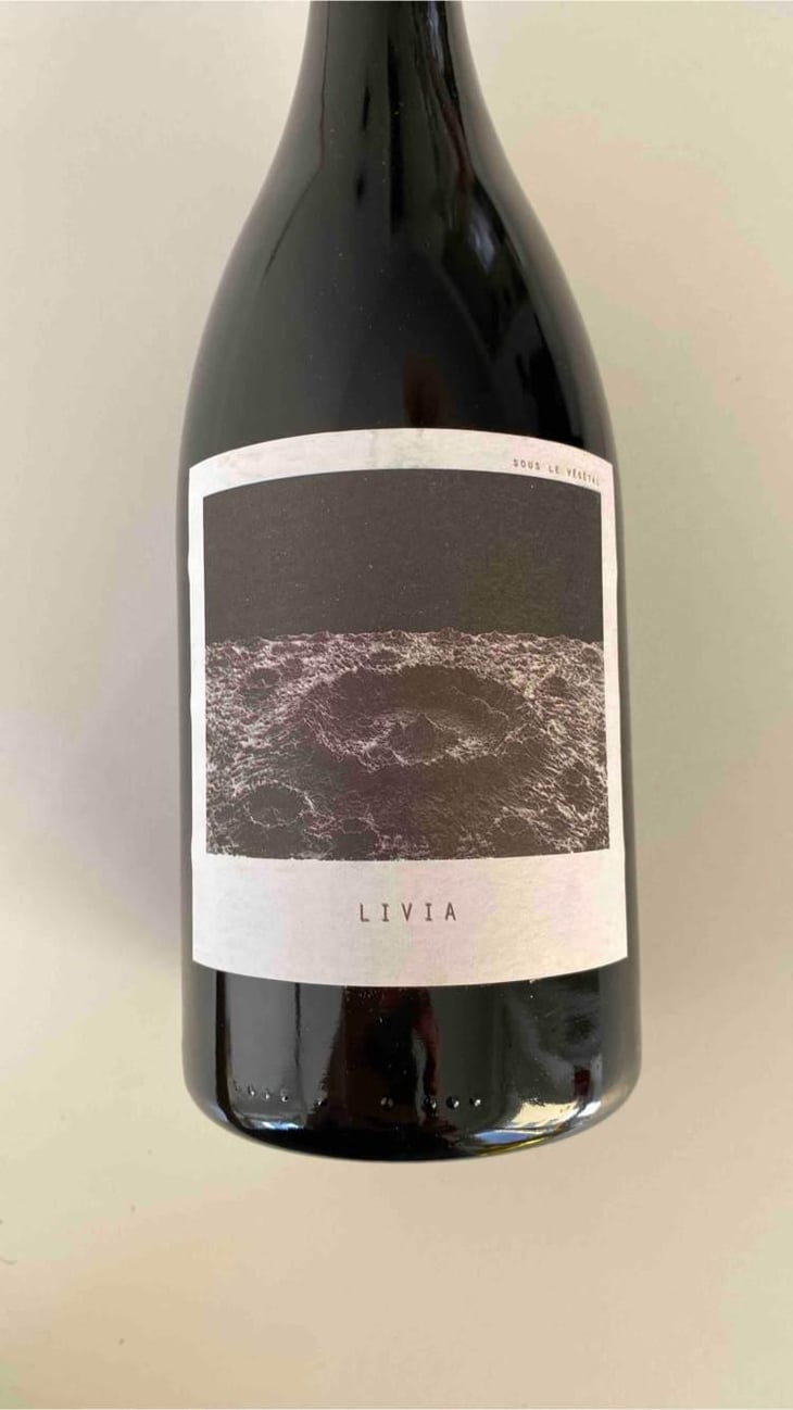 Livia - Sous Le Vegetal - Patrick Bouju & Jason Ligas 