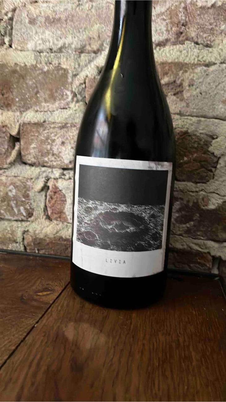 Livia - Sous Le Vegetal - Patrick Bouju & Jason Ligas 