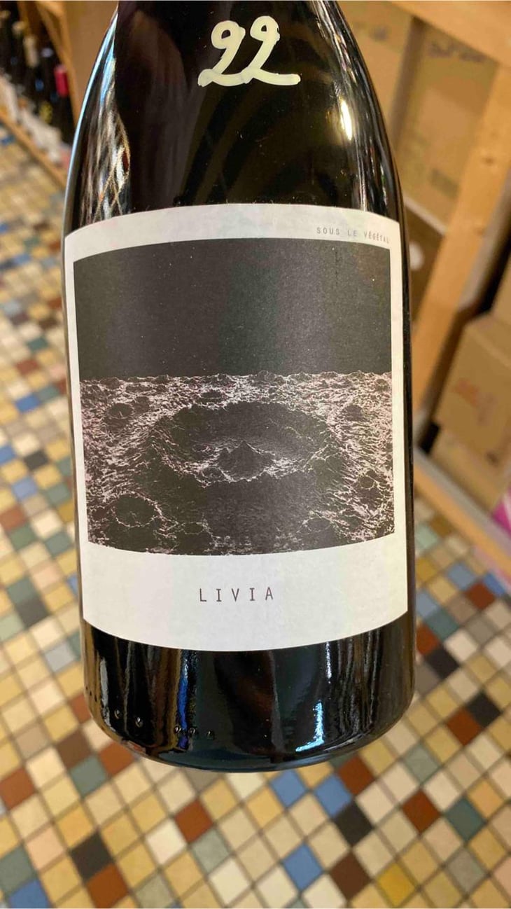 Livia - Sous Le Vegetal - Patrick Bouju & Jason Ligas 
