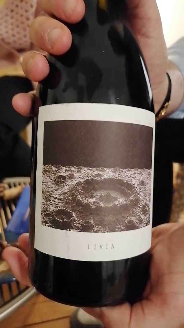 Livia - Sous Le Vegetal - Patrick Bouju & Jason Ligas 