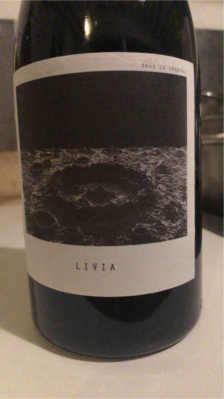 Livia - Sous Le Vegetal - Patrick Bouju & Jason Ligas 