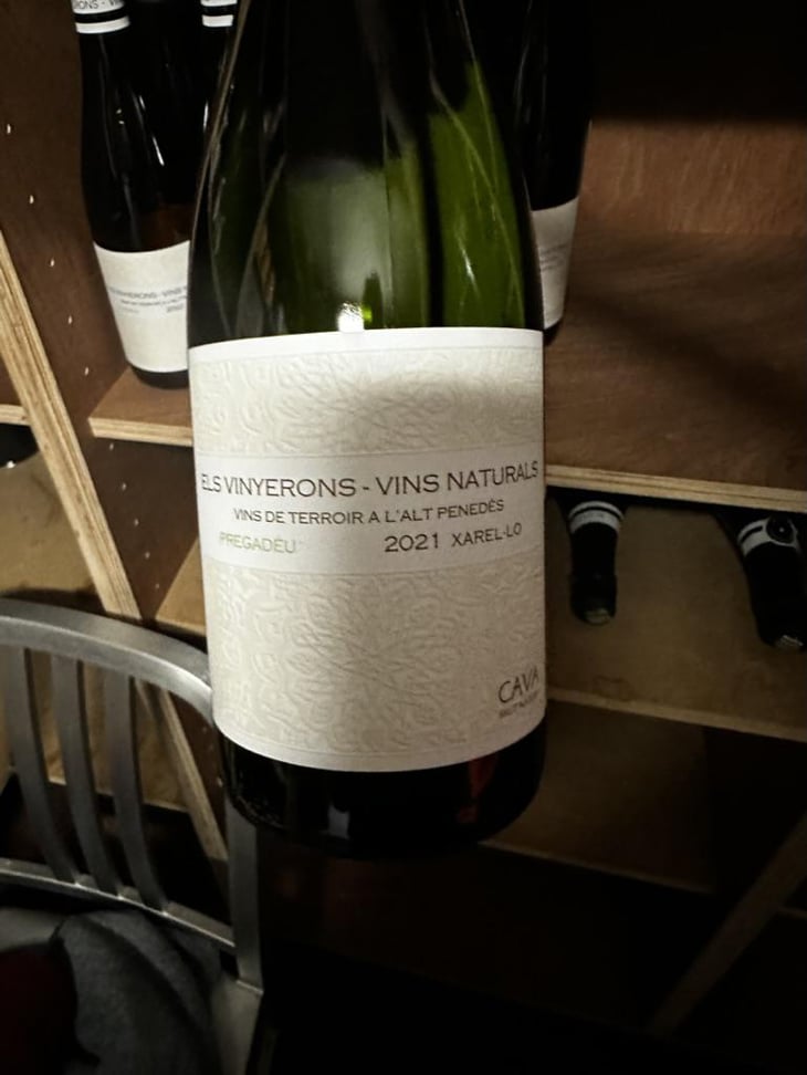 Lluerna - Els Vinyerons / Sin Project - Amós Bañeres Merinero & Alex Ruiz Masachs 