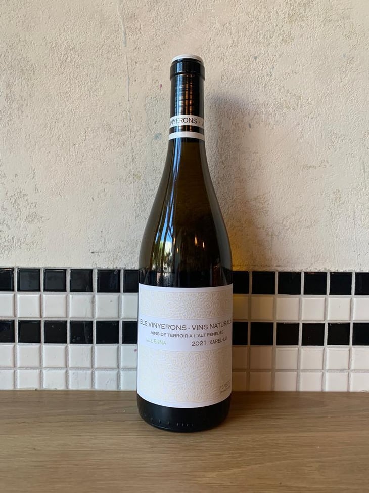 Lluerna - Els Vinyerons / Sin Project - Amós Bañeres Merinero & Alex Ruiz Masachs 