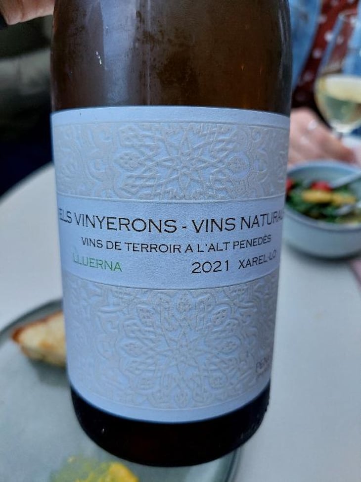 Lluerna - Els Vinyerons / Sin Project - Amós Bañeres Merinero & Alex Ruiz Masachs 