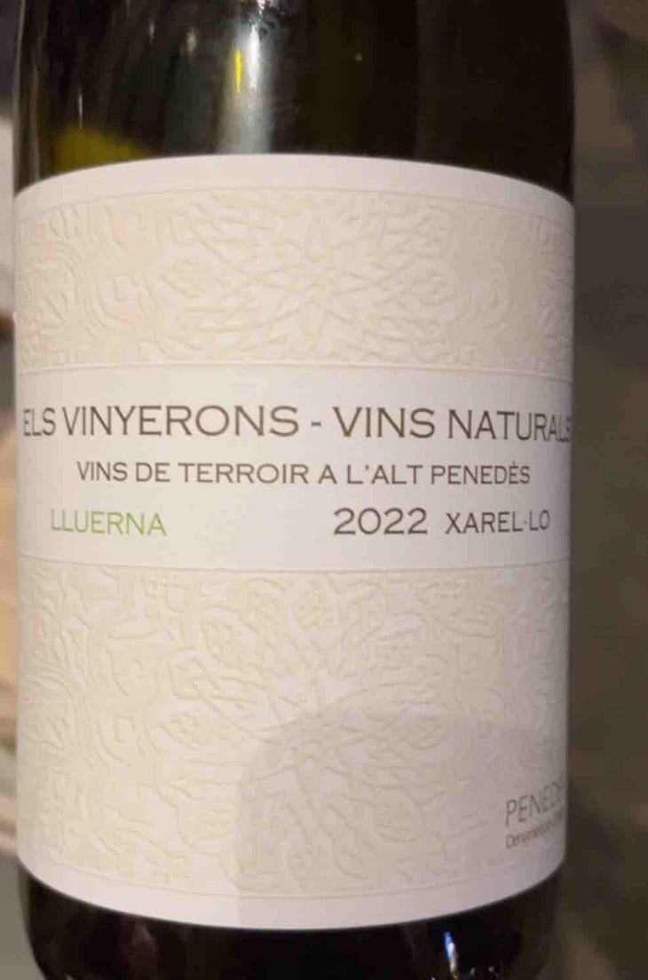Lluerna - Els Vinyerons / Sin Project - Amós Bañeres Merinero & Alex Ruiz Masachs 