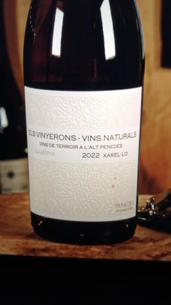 Lluerna - Els Vinyerons / Sin Project - Amós Bañeres Merinero & Alex Ruiz Masachs 