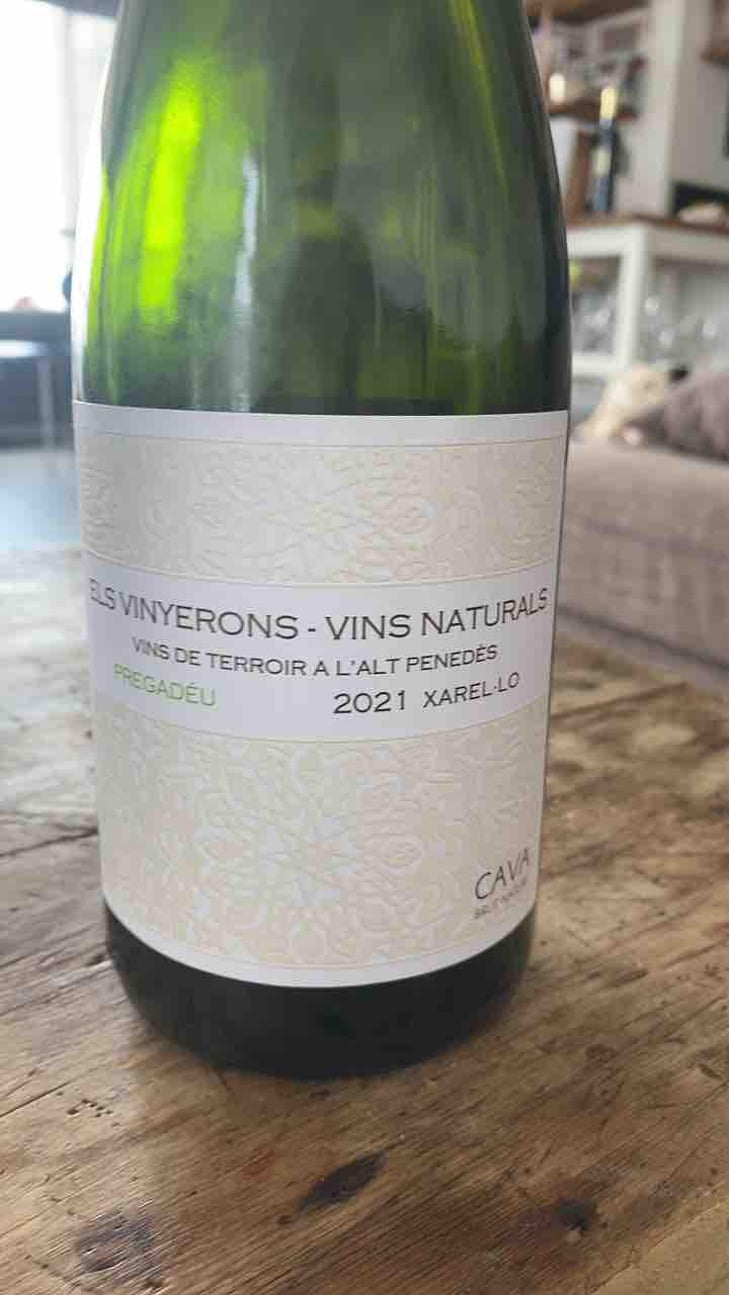 Lluerna - Els Vinyerons / Sin Project - Amós Bañeres Merinero & Alex Ruiz Masachs 