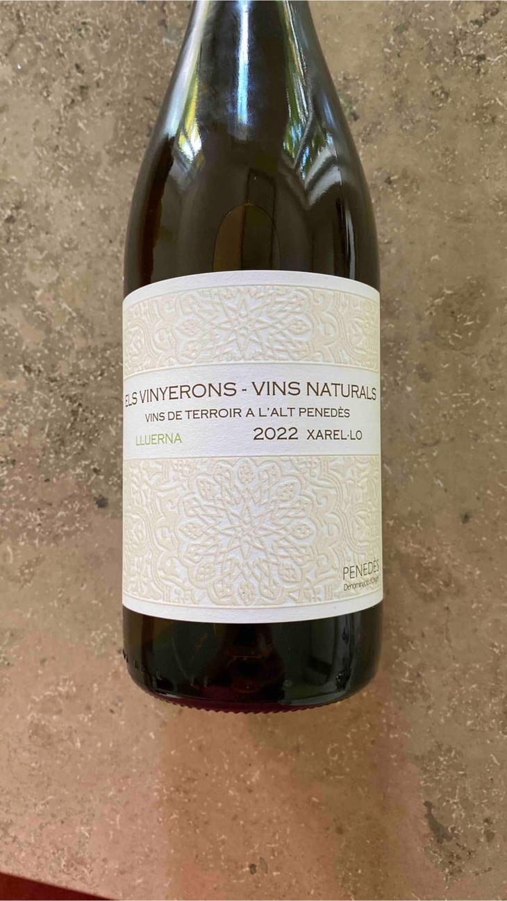 Lluerna - Els Vinyerons / Sin Project - Amós Bañeres Merinero & Alex Ruiz Masachs 