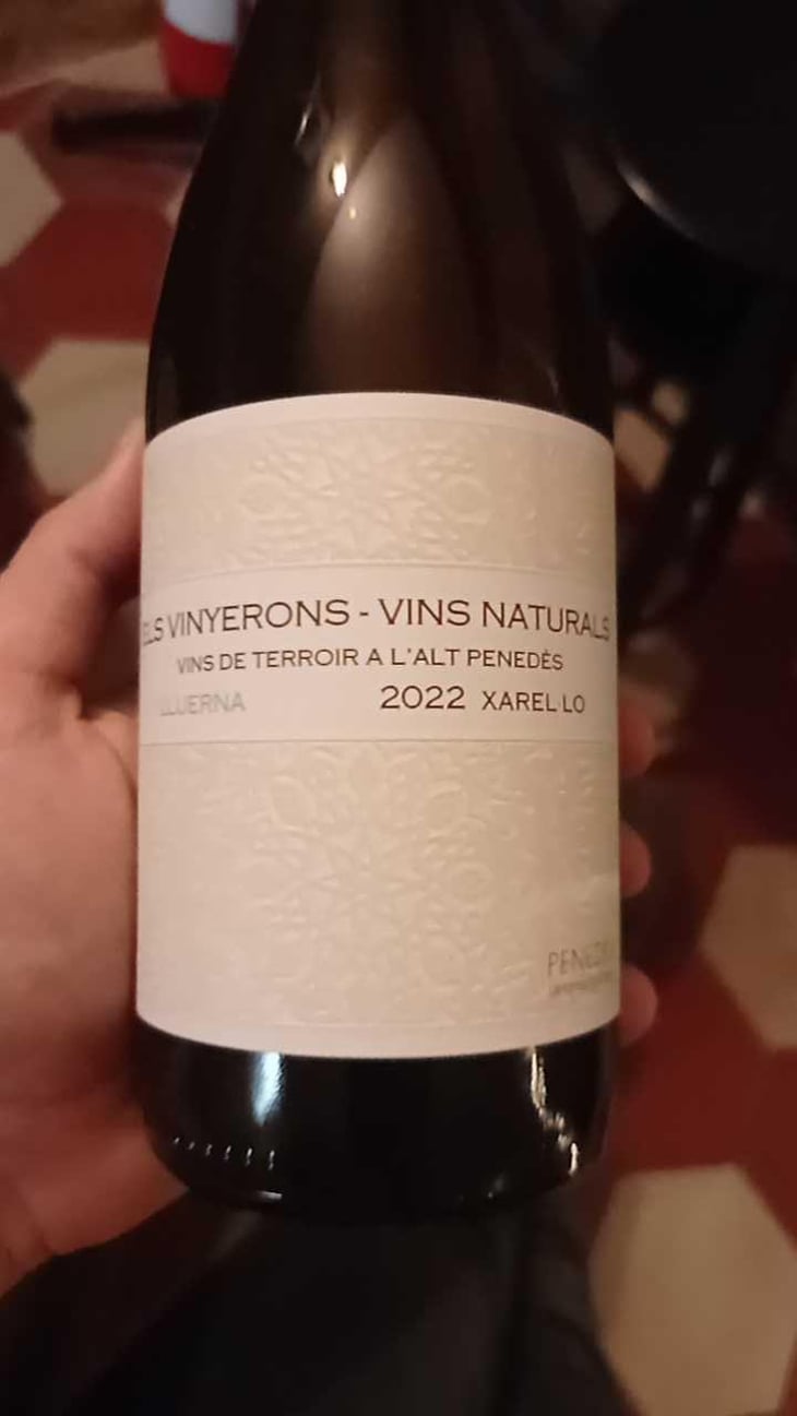 Lluerna - Els Vinyerons / Sin Project - Amós Bañeres Merinero & Alex Ruiz Masachs 