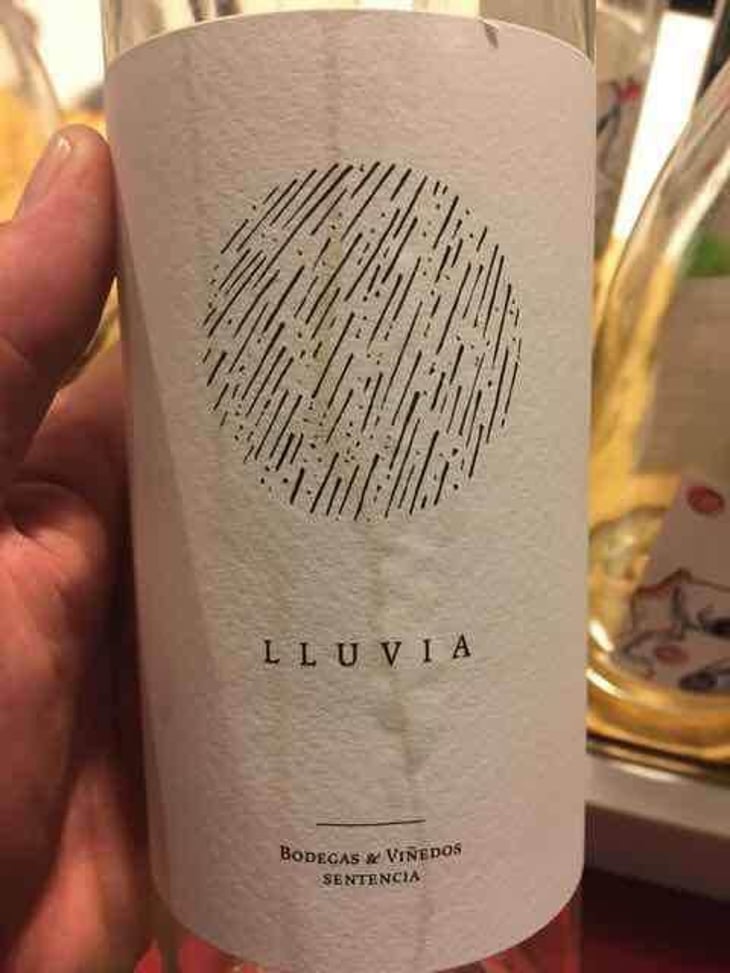 Lluvia - Bodega y Viñedos Sentencia - Alberto Pedron 