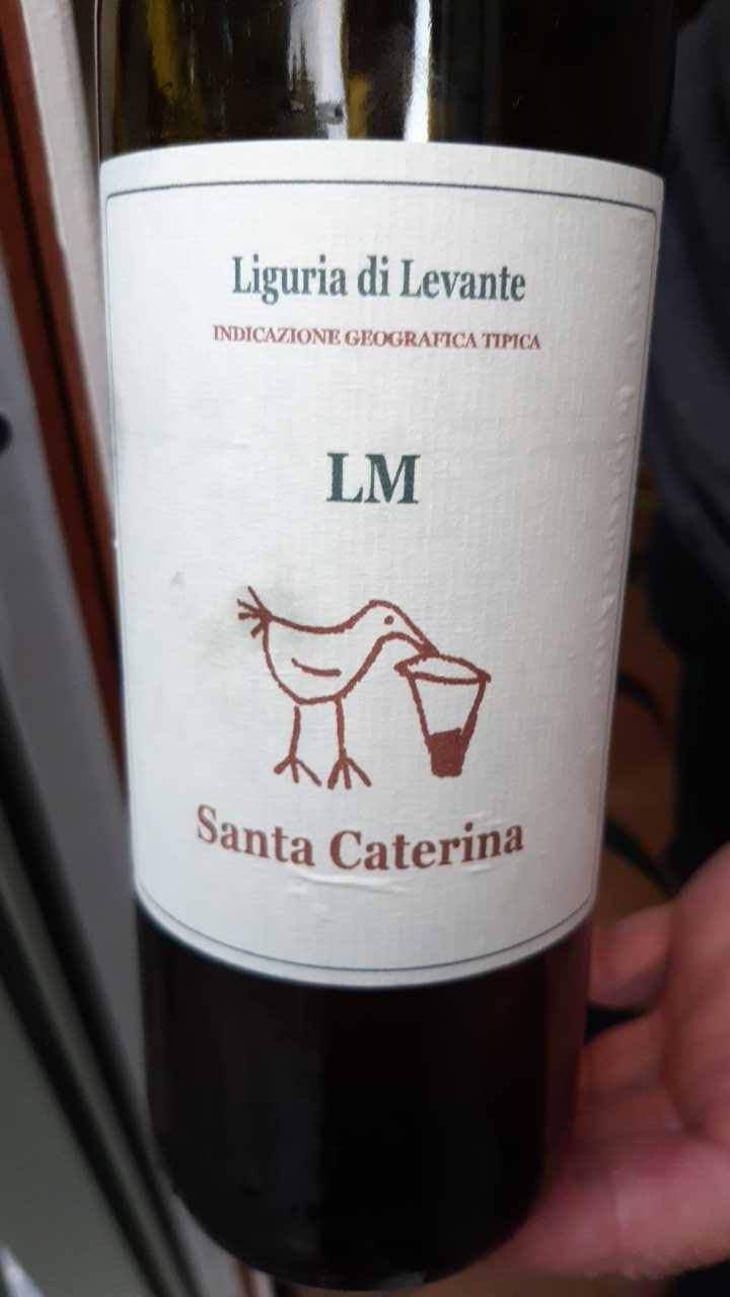 LM - Santa Caterina - Andrea Kihlgren 