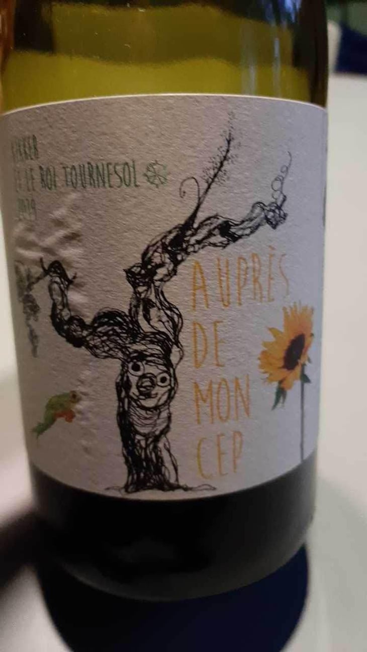 Kikker et le Roi Tournesol - Auprès De Mon Cep - Ian Lu 