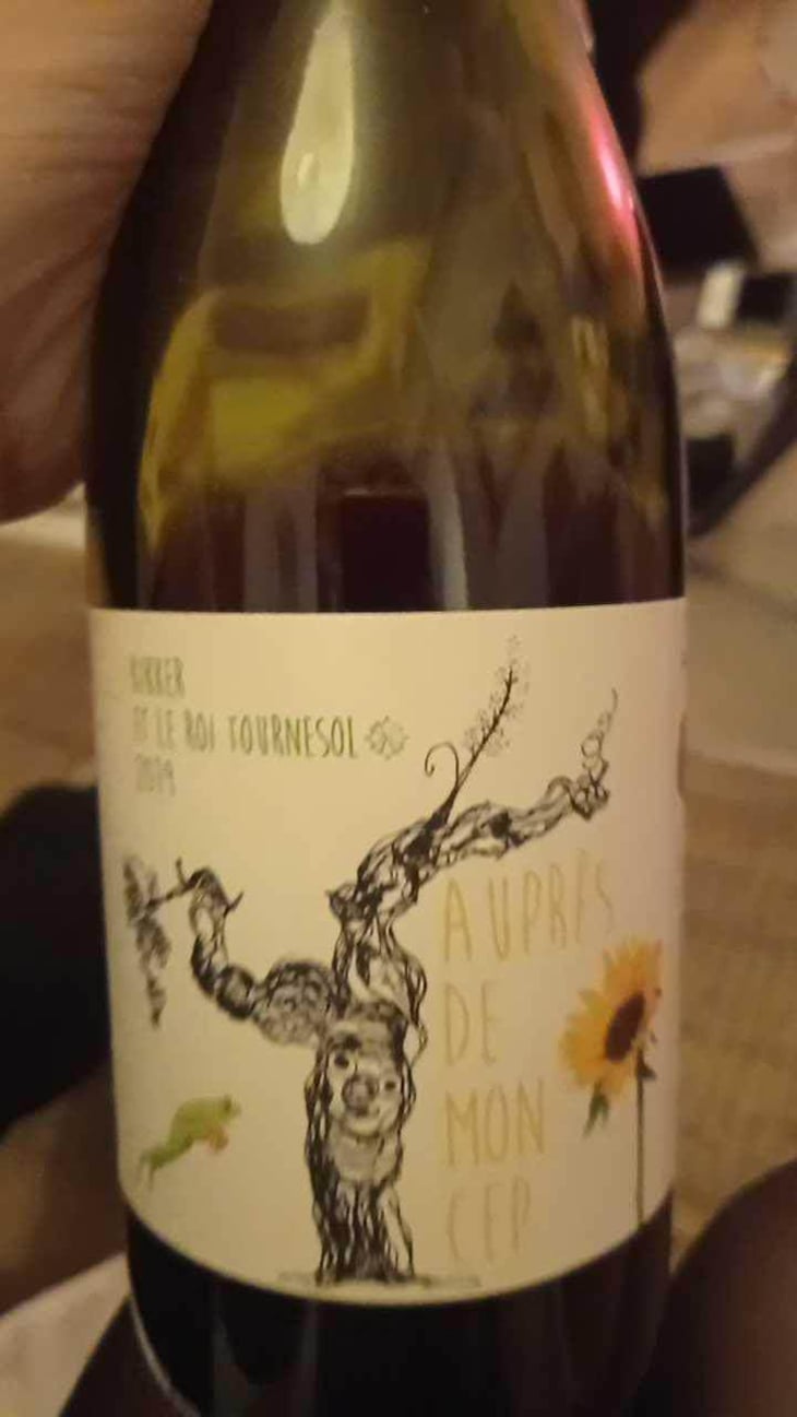 Kikker et le Roi Tournesol - Auprès De Mon Cep - Ian Lu 