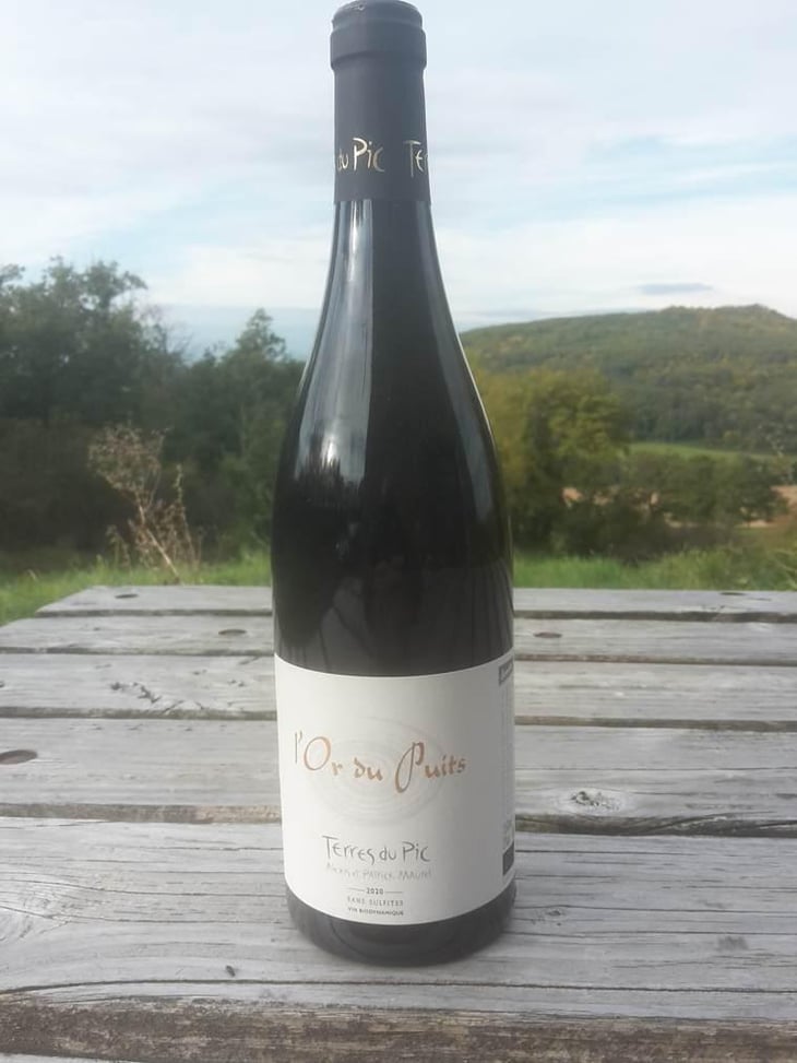 L'Or du Puits - Terres Du Pic - Patrick & Alexis Maurel -2020