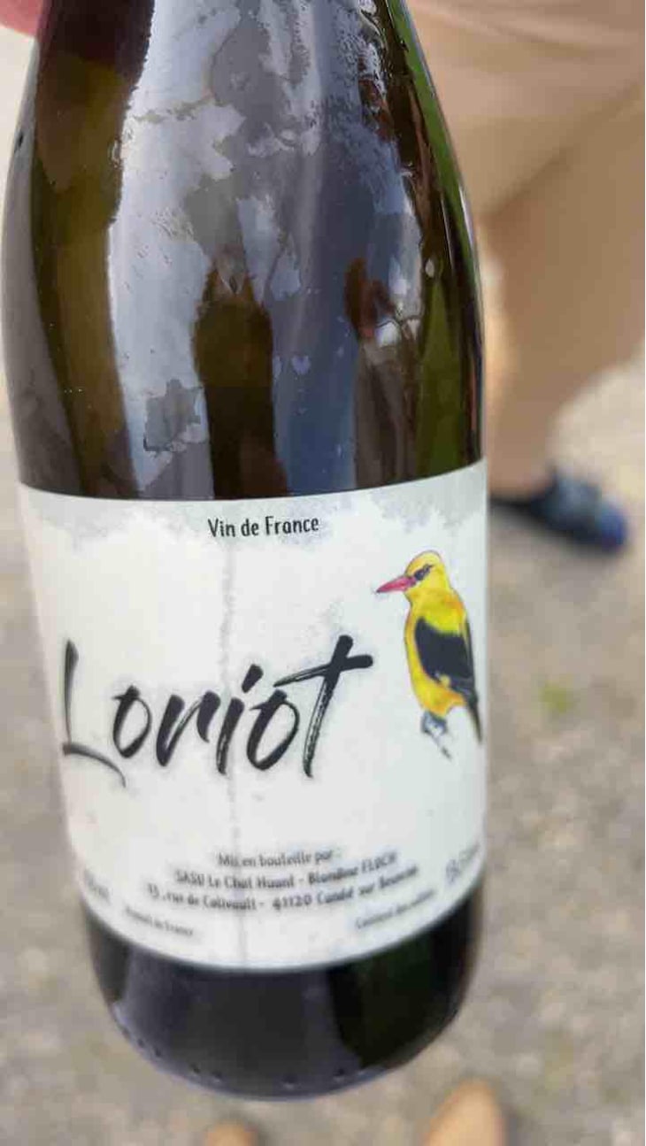 Loriot - Le Chat Huant - Blandine Floch 