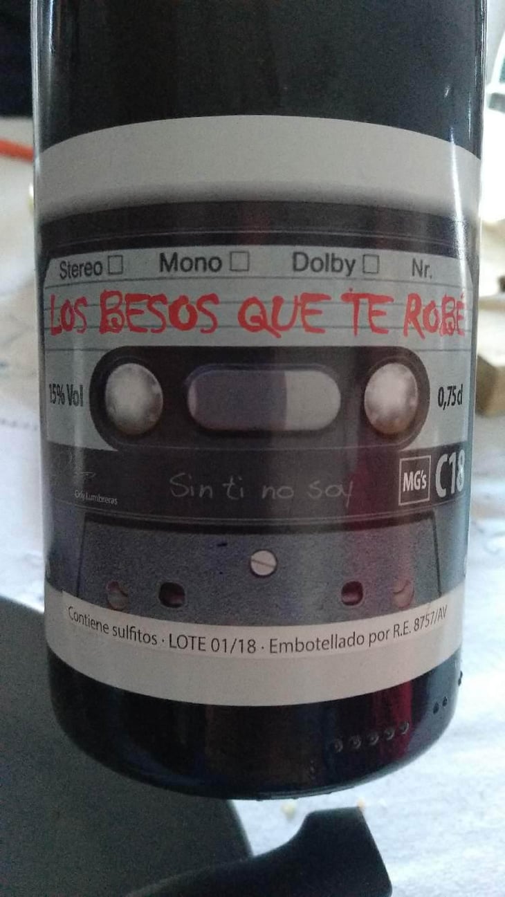 Los Besos Que Te Robé - Orly Lumbreras Viñador - Orly Lumbreras -2018