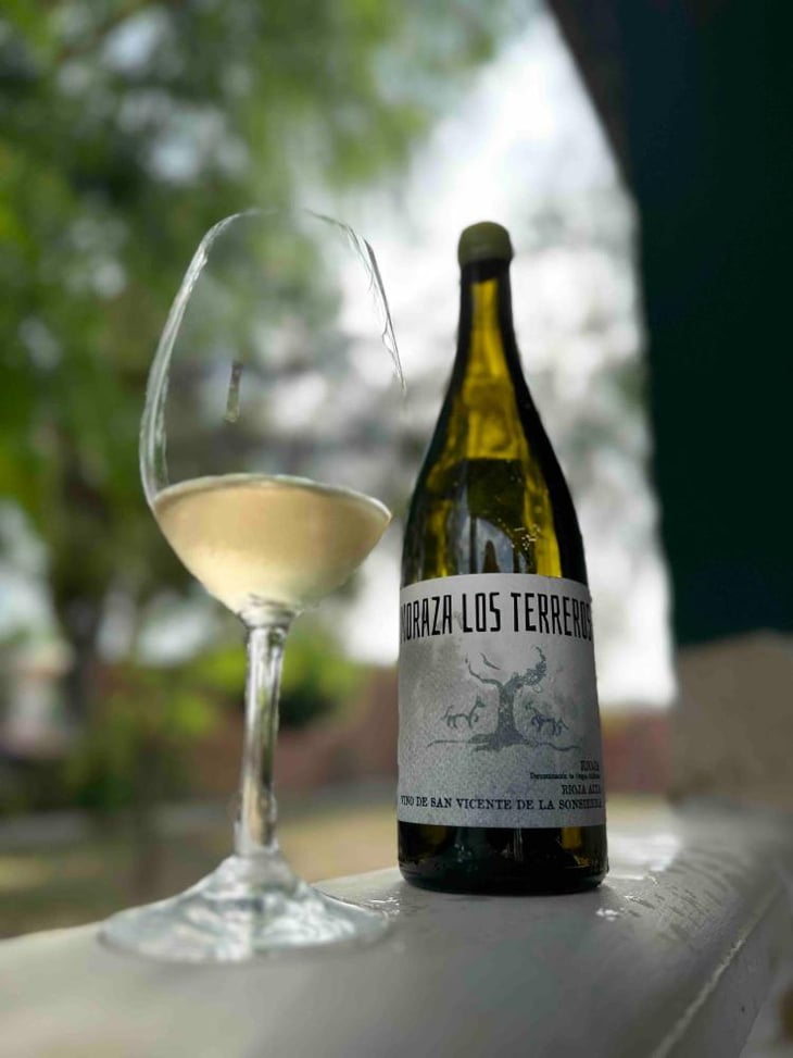 Los Terreros - Bodegas Moraza - Janire Moraza and Patricio Brongo 