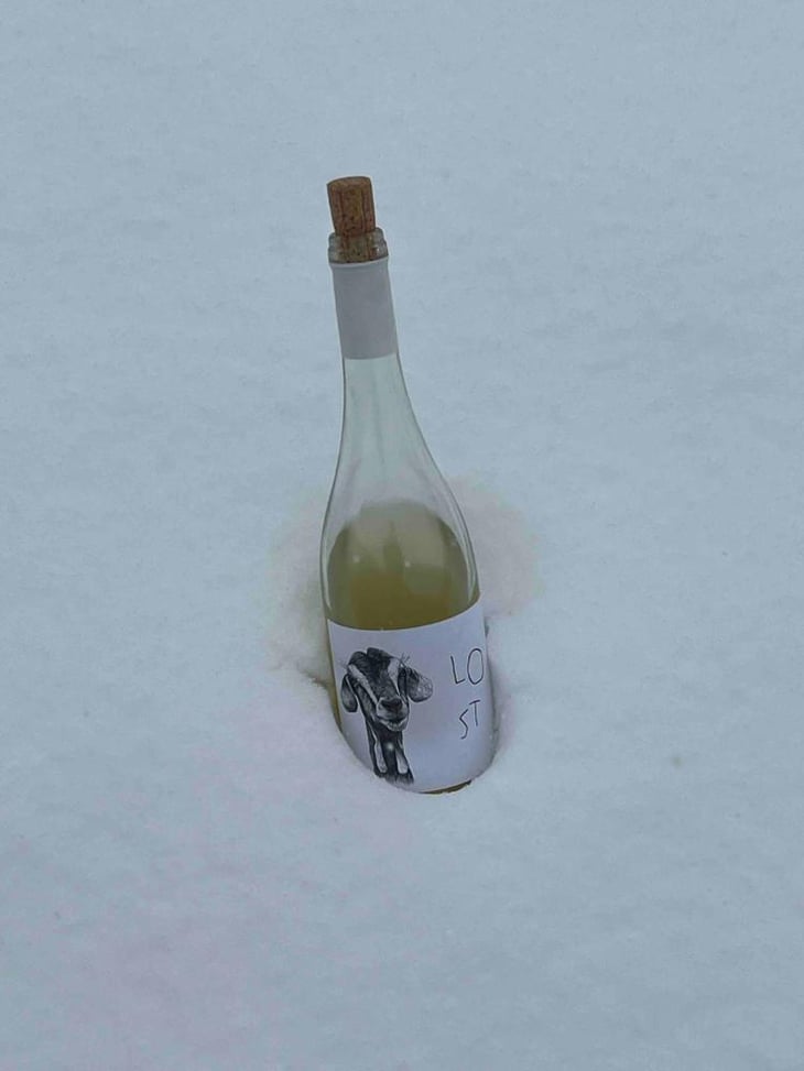 Lost - Greek - Papras Bio Wines -2020