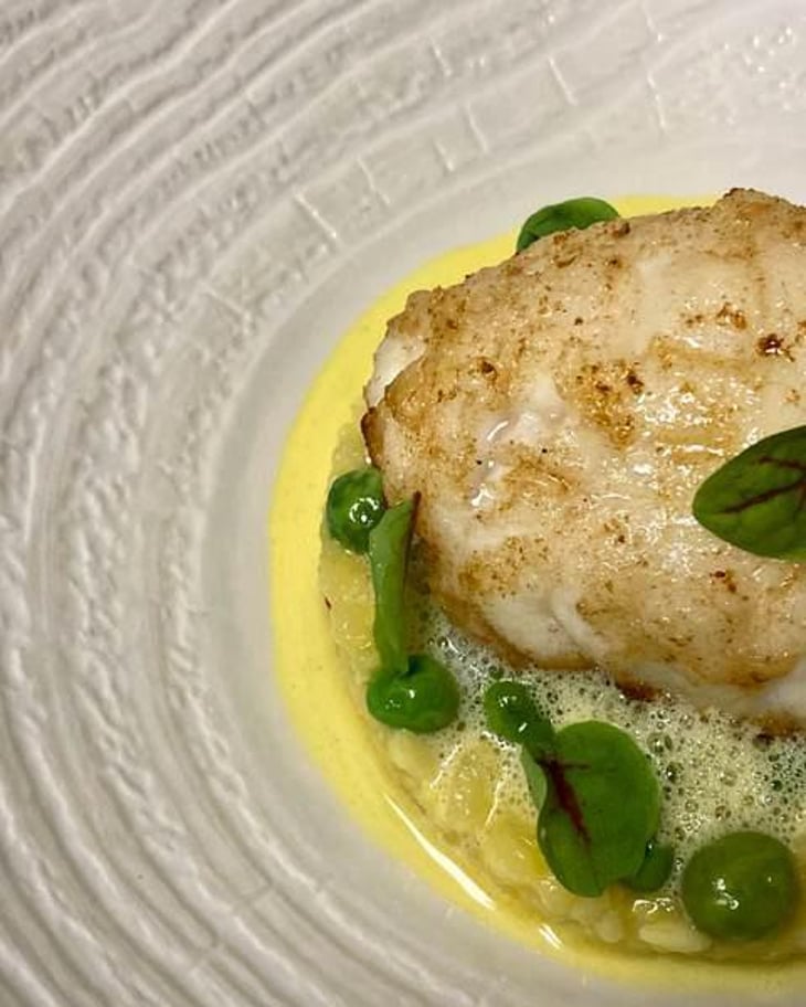 Lotte, Petits Pois De Nos Producteurs, Risotto, Jus De Safran Du Nord Isère - Le Rousseau - 498766