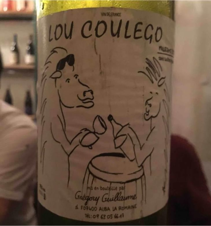 Lou Coulego - Grégory Guillaume - Grégory Guillaume 