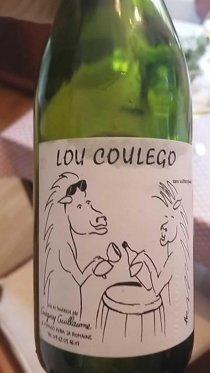 Lou Coulego - Grégory Guillaume - Grégory Guillaume 