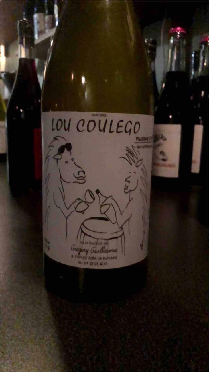 Lou Coulego - Grégory Guillaume - Grégory Guillaume 