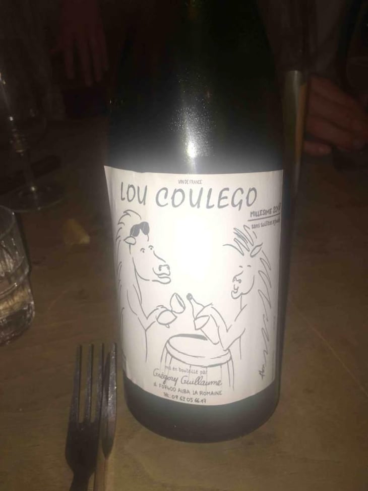 Lou Coulego - Grégory Guillaume - Grégory Guillaume 