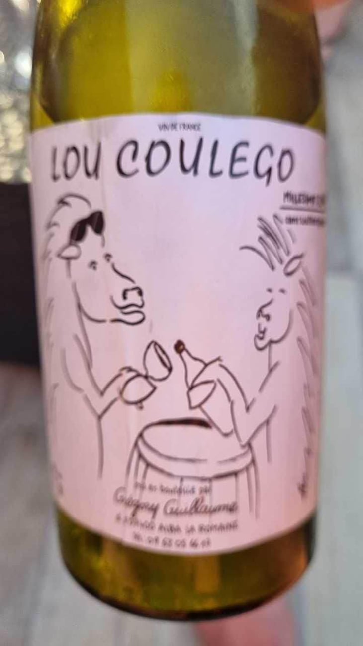 Lou Coulego - Grégory Guillaume - Grégory Guillaume 