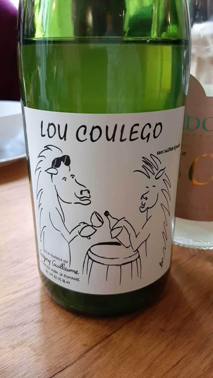 Lou Coulego - Grégory Guillaume - Grégory Guillaume 