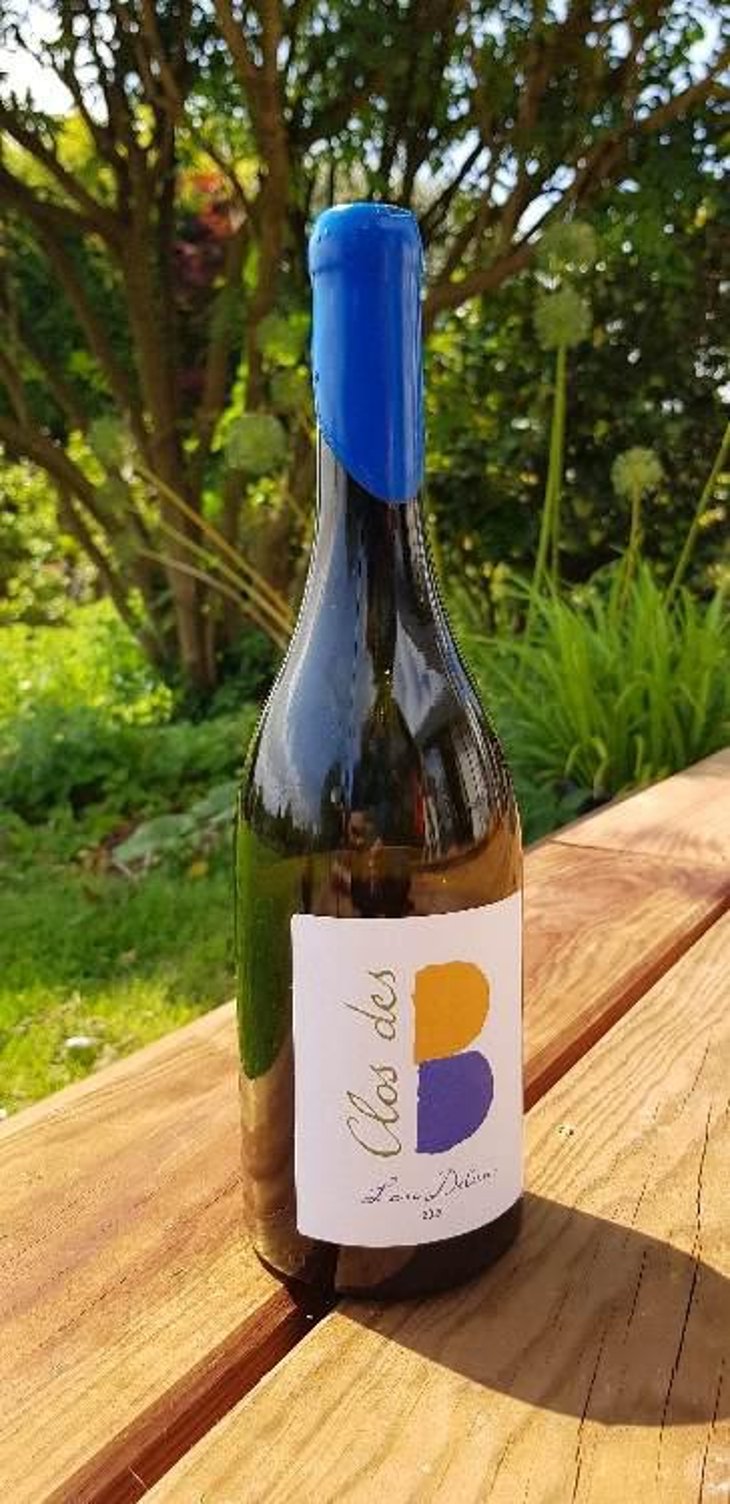 Lou Dilun - Clos des B - Gwendolyn Berger -2021