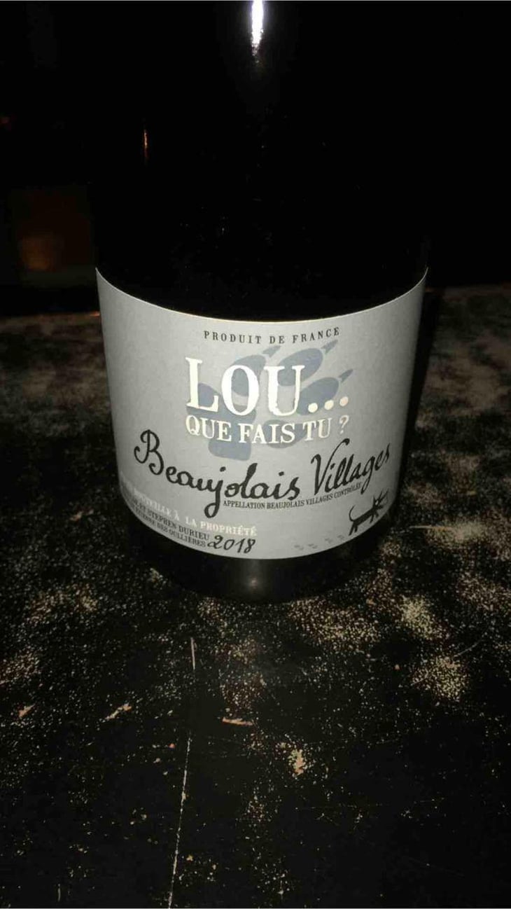 Lou Que Fais Tu - Lou. Y Es-Tu? - Mathilde & Stephen Durieu 